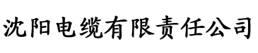 18岁日韩内射颜射午夜久久成人电缆厂logo